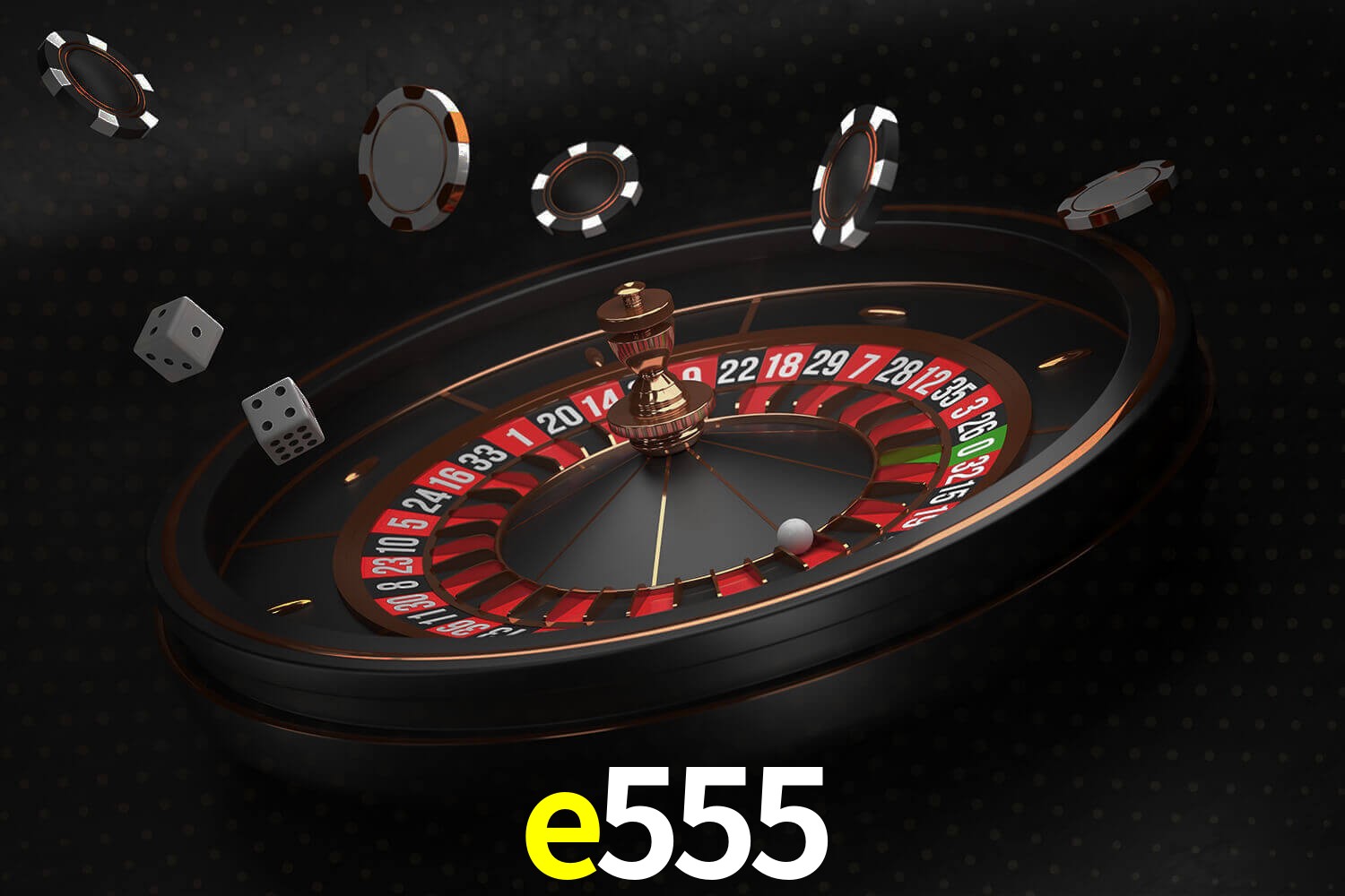 e555